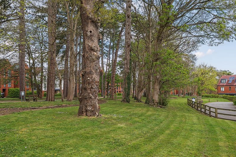 Views- click for photo gallery